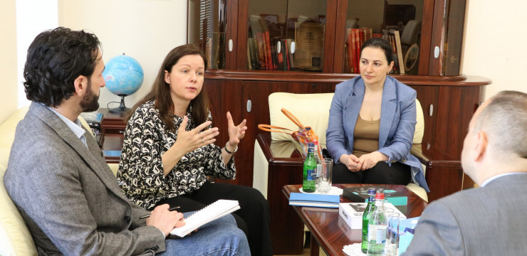 Հանդիպում Հայաստանում ՄԱԿ-ի մանկական հիմնադրամի ներկայացուցչի հետ