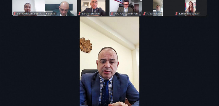 Заре Синанян провёл видеовстречу с руководителем Директората по вопросам граждан и организаций диаспоры Комиссии Африканского союза Амри Альджувайли