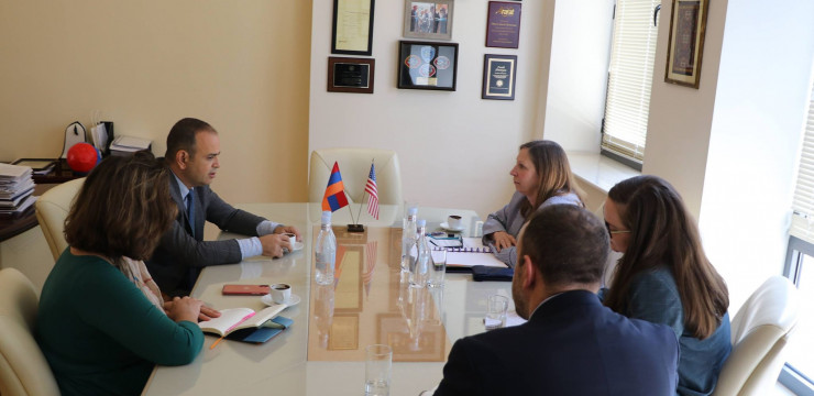 Главный уполномоченный по делам диаспоры встретился с послом США в Армении