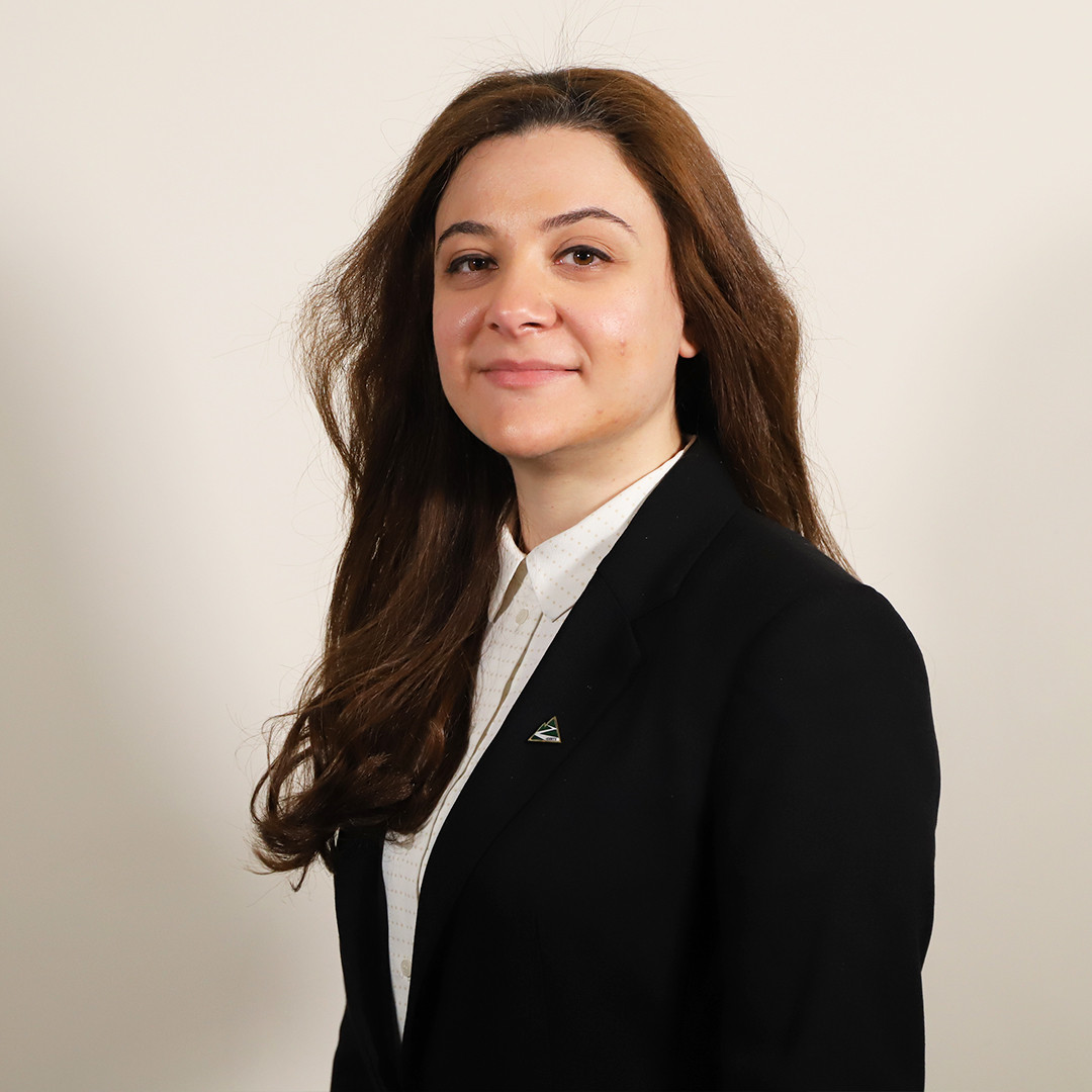 Diaspora - Narine Mardirossian